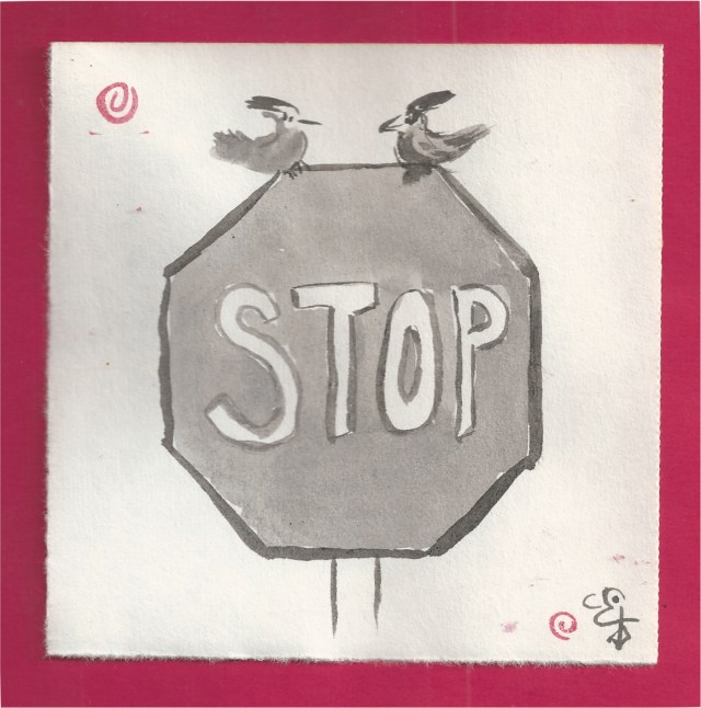 stop sign cardinals