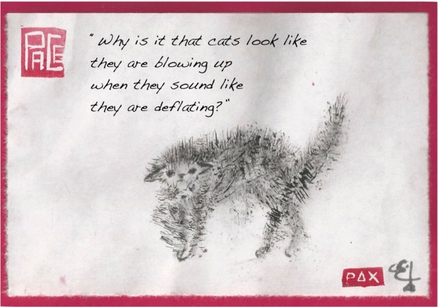 blowing up deflating cat