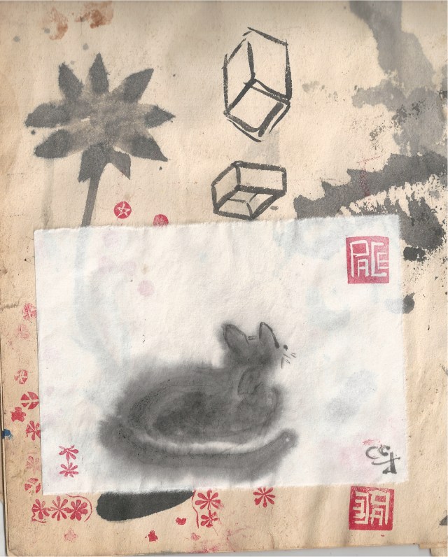 cat looking for peace