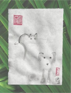 cat & poodle by gate in sun