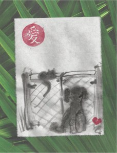 cat & poodle by gate