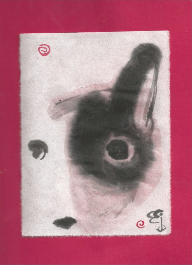 terrierx pup in driveway