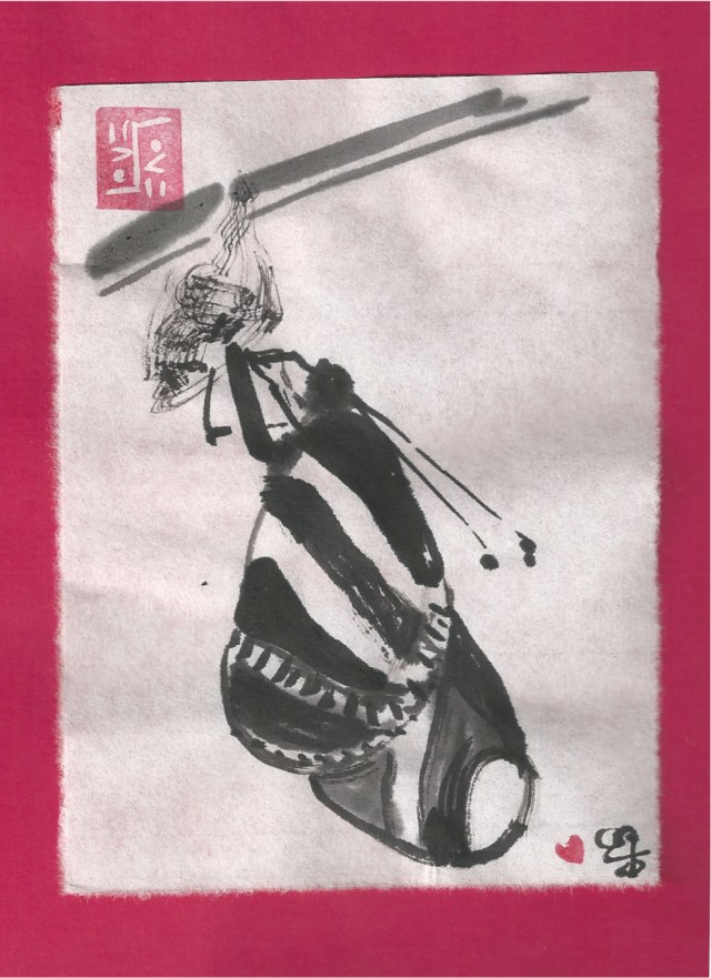 zebra butterfly emerging