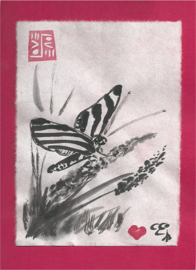 zebra butterfly on grass blossom