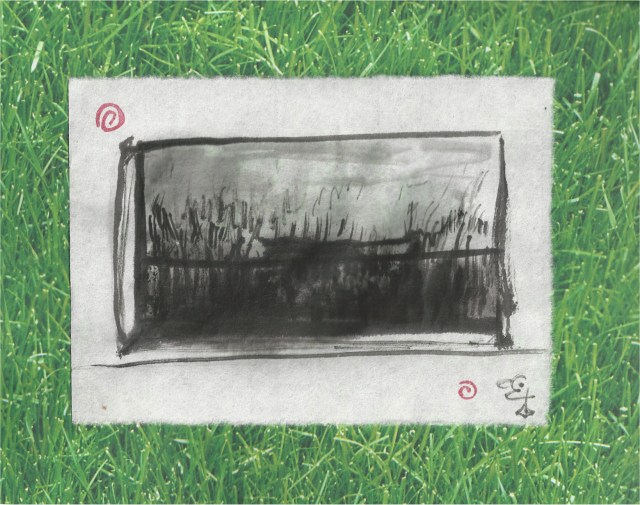 cat stalking view thru window