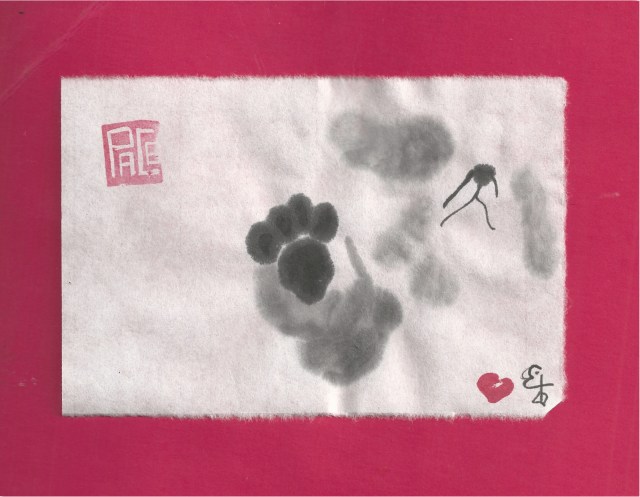 oreo paw raised close up