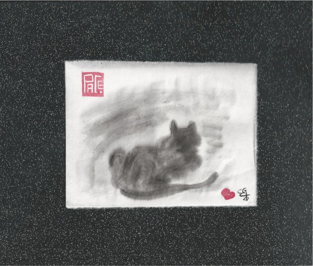 cat stares into the stars