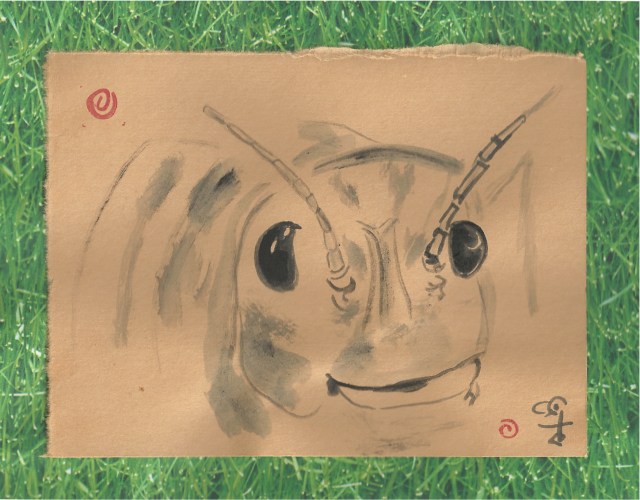 grasshopper face on grass