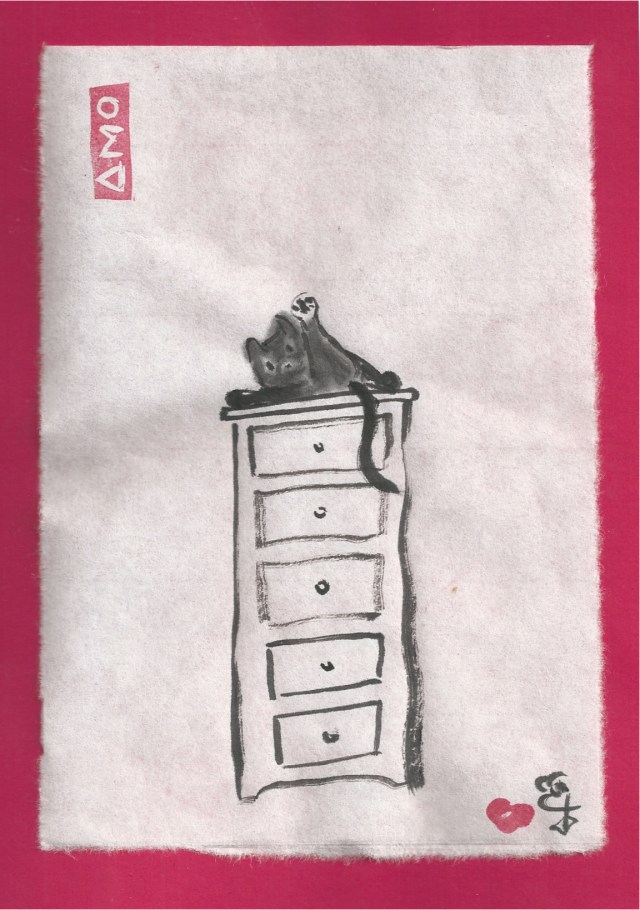 presto on chest in bathroom