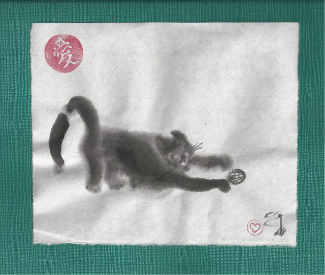 presto plays with ball!