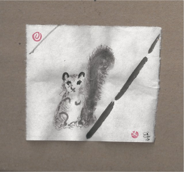 squirrel standing in the road