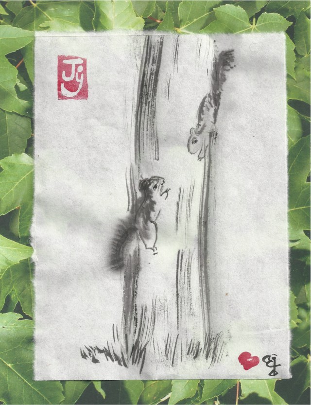 two squirrels dance on tree