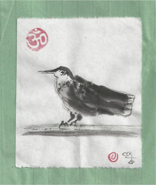 bird possibly a starling