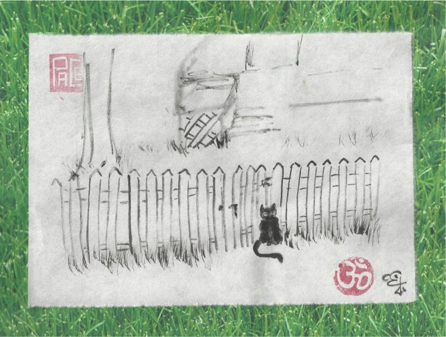 black cat by picket fence