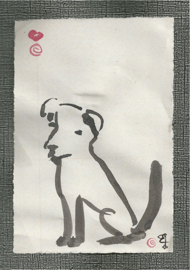 puppy found before all grown