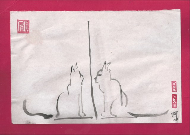 two cats thru a window