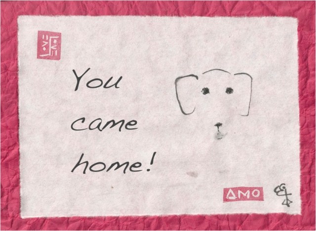 you came home poodle