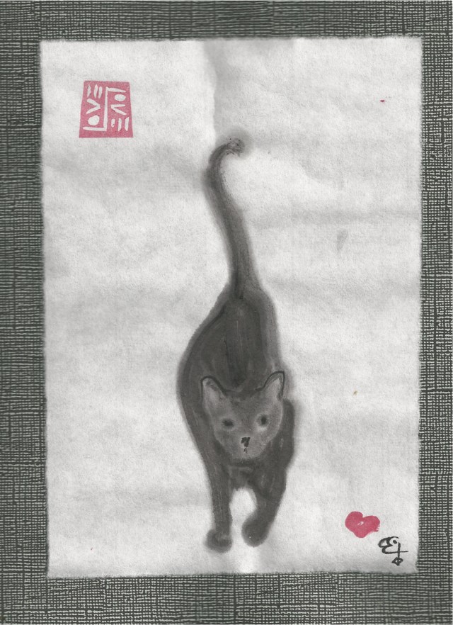 black cat walks forward