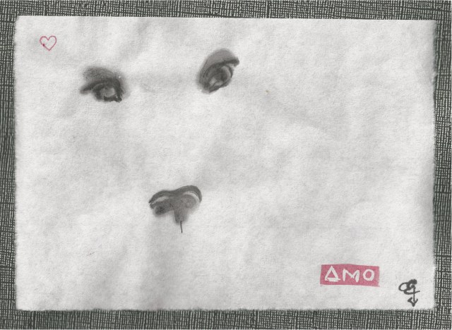 shepherd eyes from green cove springs