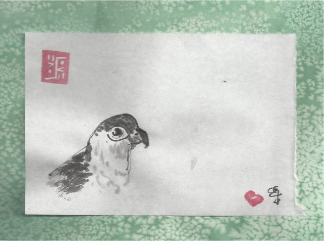 green cheeked conure