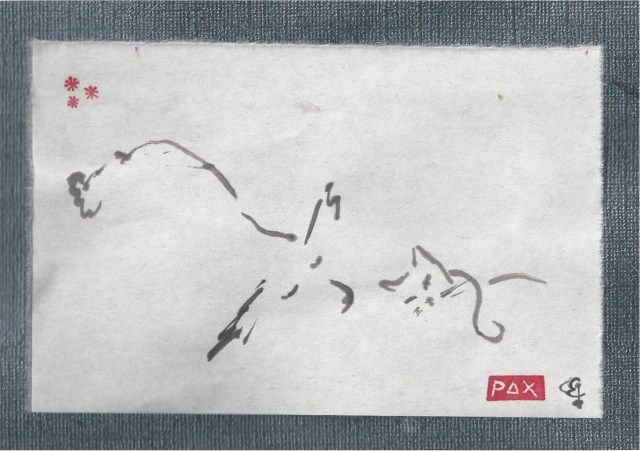 cat and dog sleeping