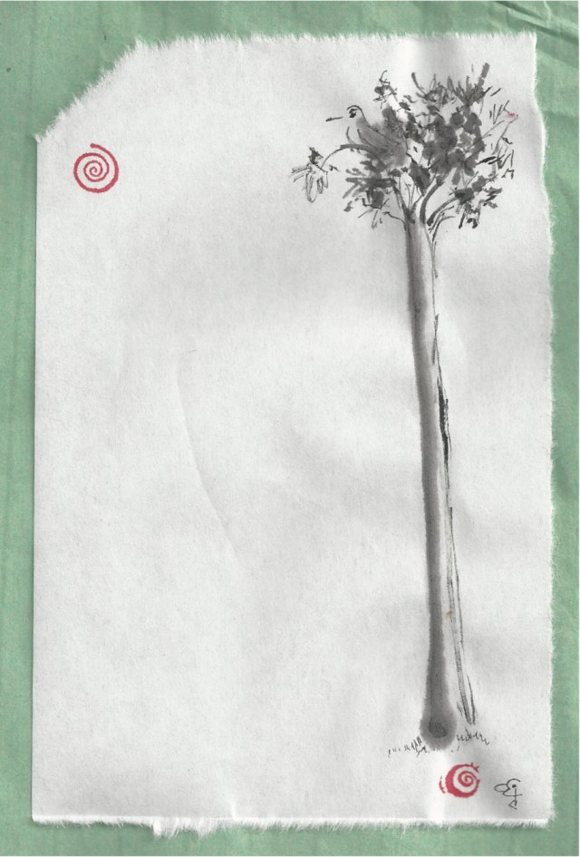 little bird in tall tree