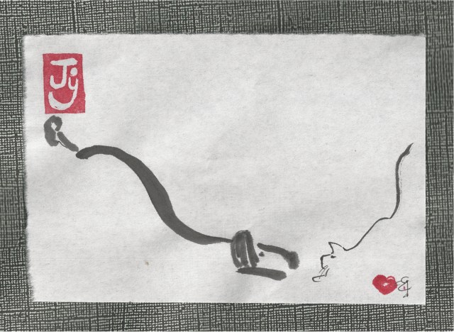 play bows dog vs cat