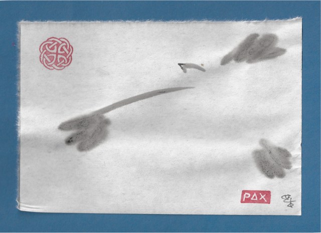 soaring hawks 3 close-up