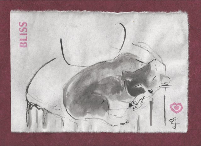 calico sleeping on table