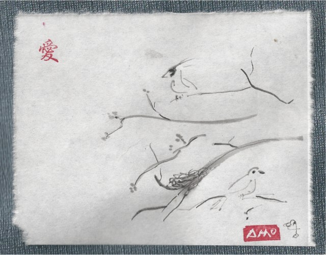 cardinal mockingbird and nest