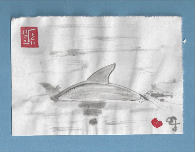 dolphin cresting St john's river