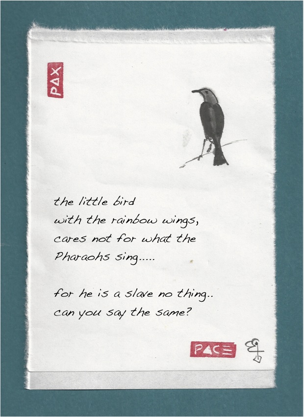 grackle and the phararoh's song