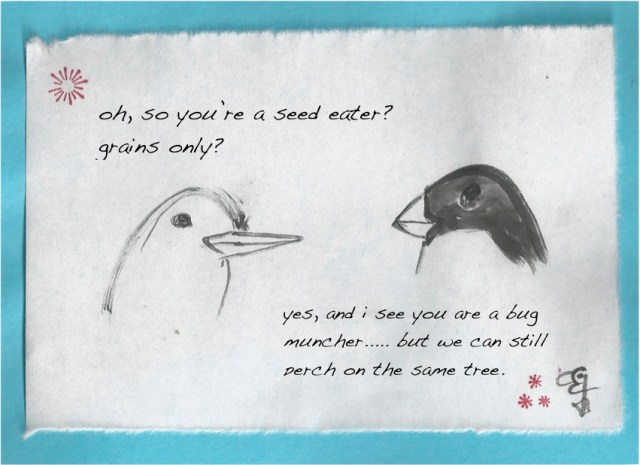 pages seed bug birds