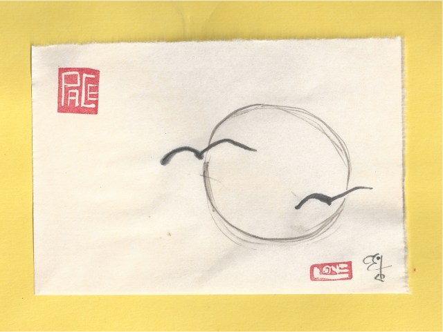 sea gulls againist the sun