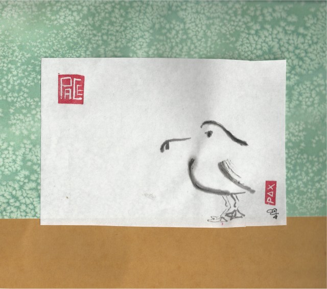 seagull on beach collage