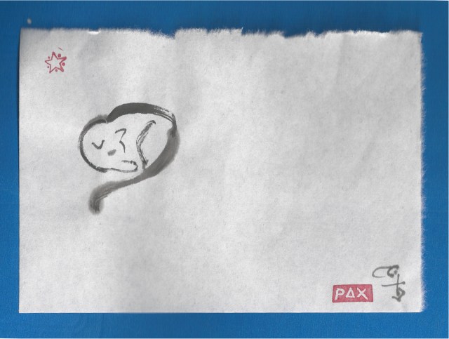 cat sleeps enzo upper