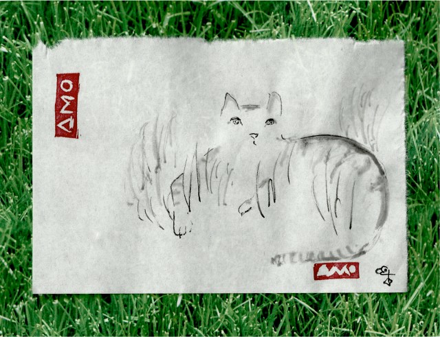 Grey tiger cat in grass