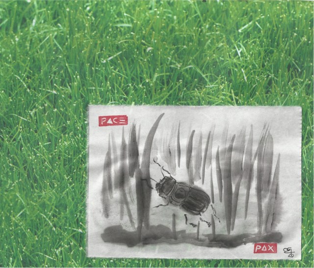 bug in the grass by church