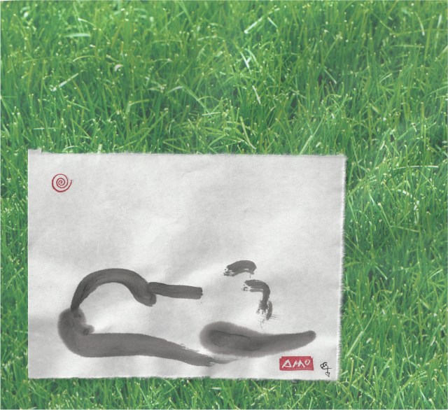 cat on grass background