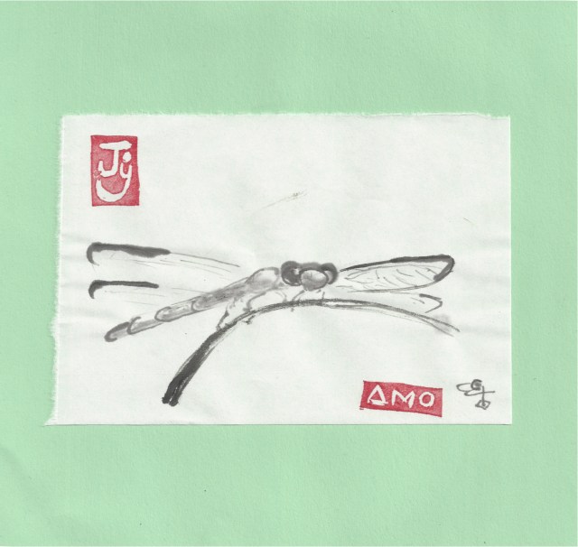 dragonfly at maggies herb farm