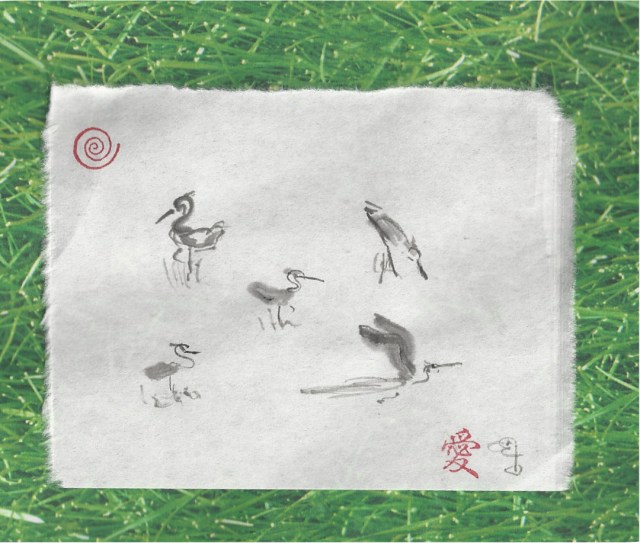 egrets by the side of the road