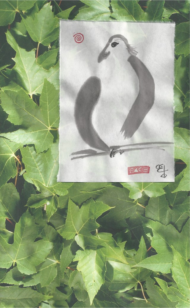 hawk on tree background