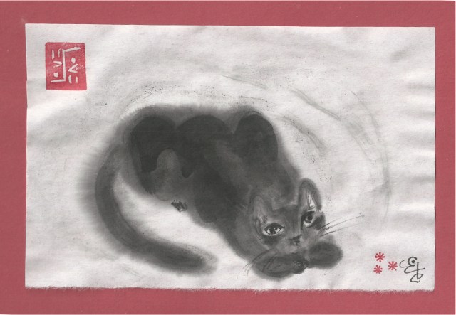 presto almost ready to pounce