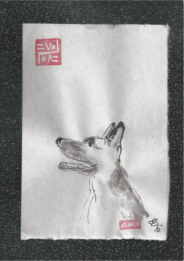 Alex' Dog shepherd dog