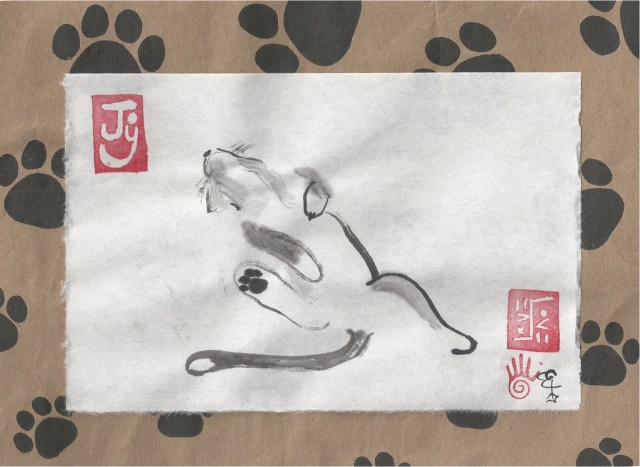 esme on back on table