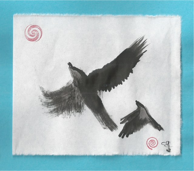 two crows soar skyward