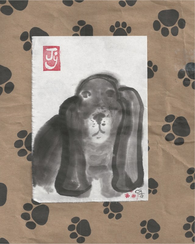 bassett with long ears