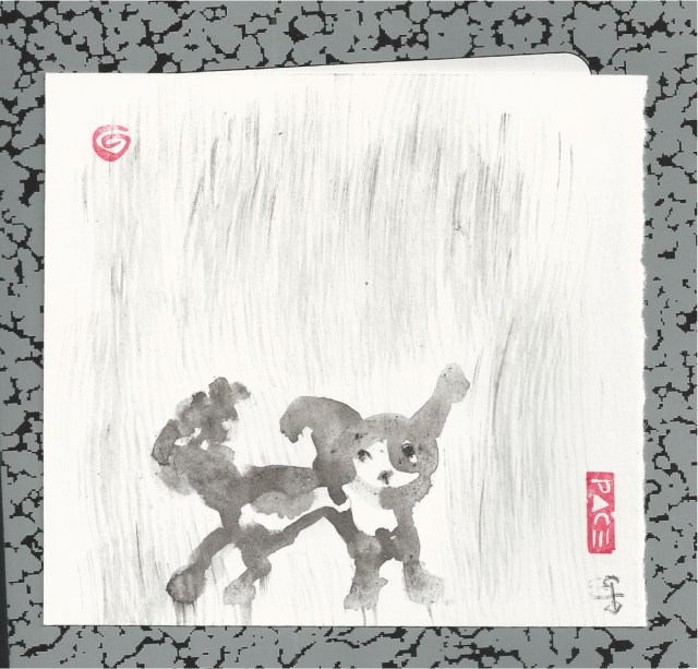 mouse dog in the rain