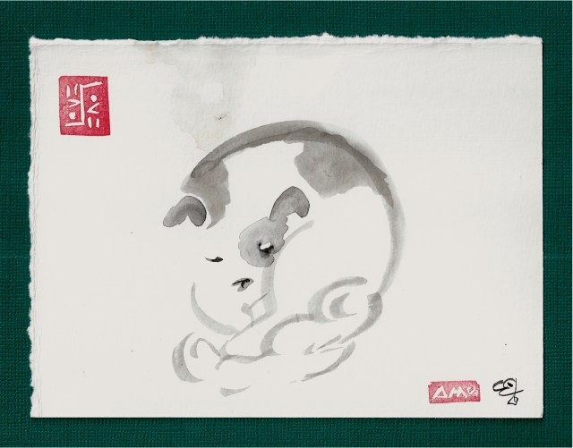 pim asleep cloud tail