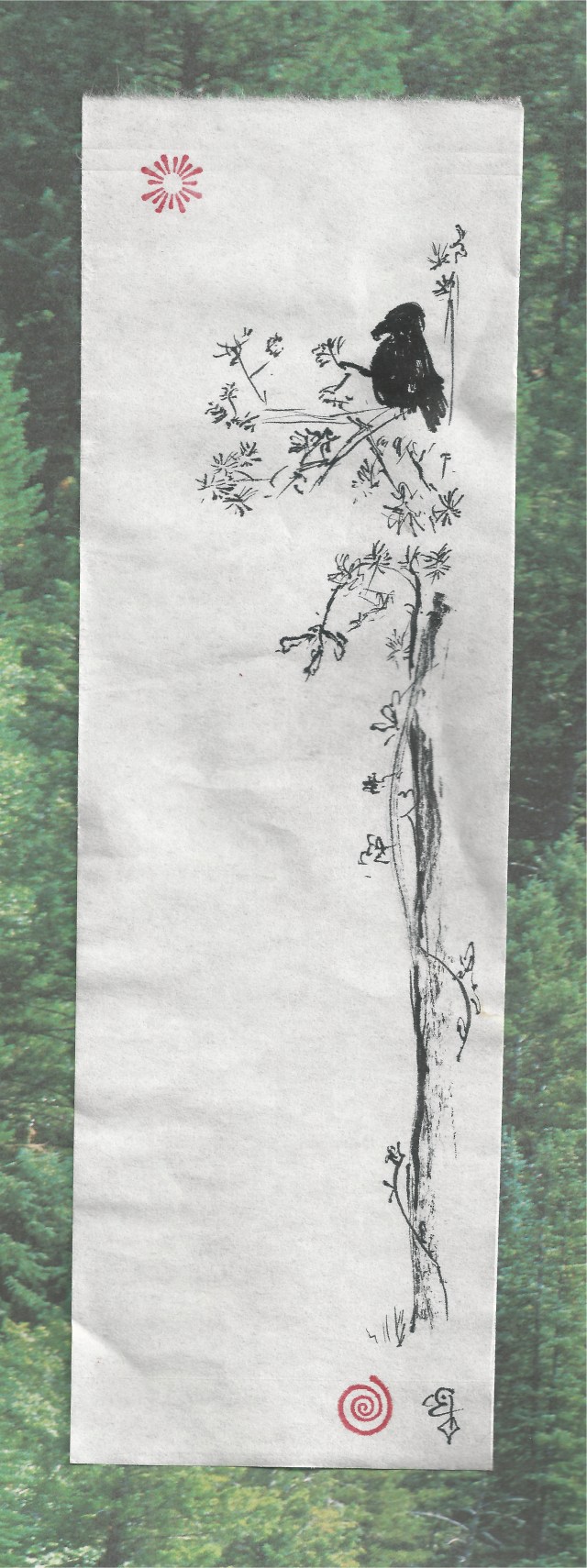 raptor in tree with vine